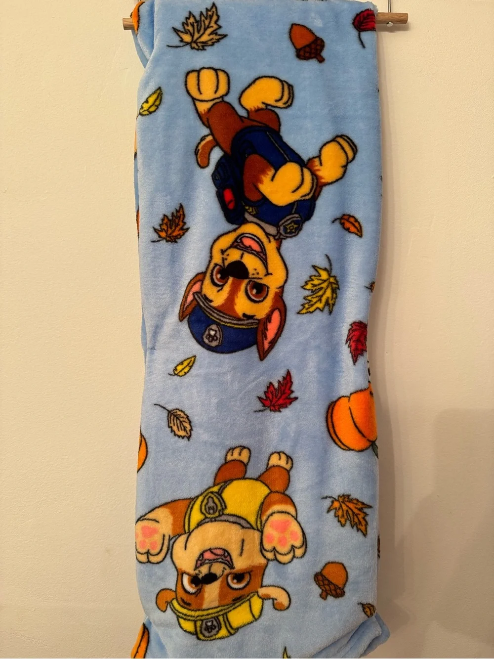 Paw Patrol Kids Blue Fall Fleece Blanket